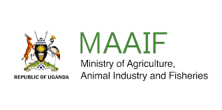 <a href="https://www.ifad.org/en/w/projects/2000001484" target="_blank">Fundraised from IFAD and MAAIF- Ministry of Agriculture, Animal Industry and Fisheries   – Granted  US$70.03million</a>